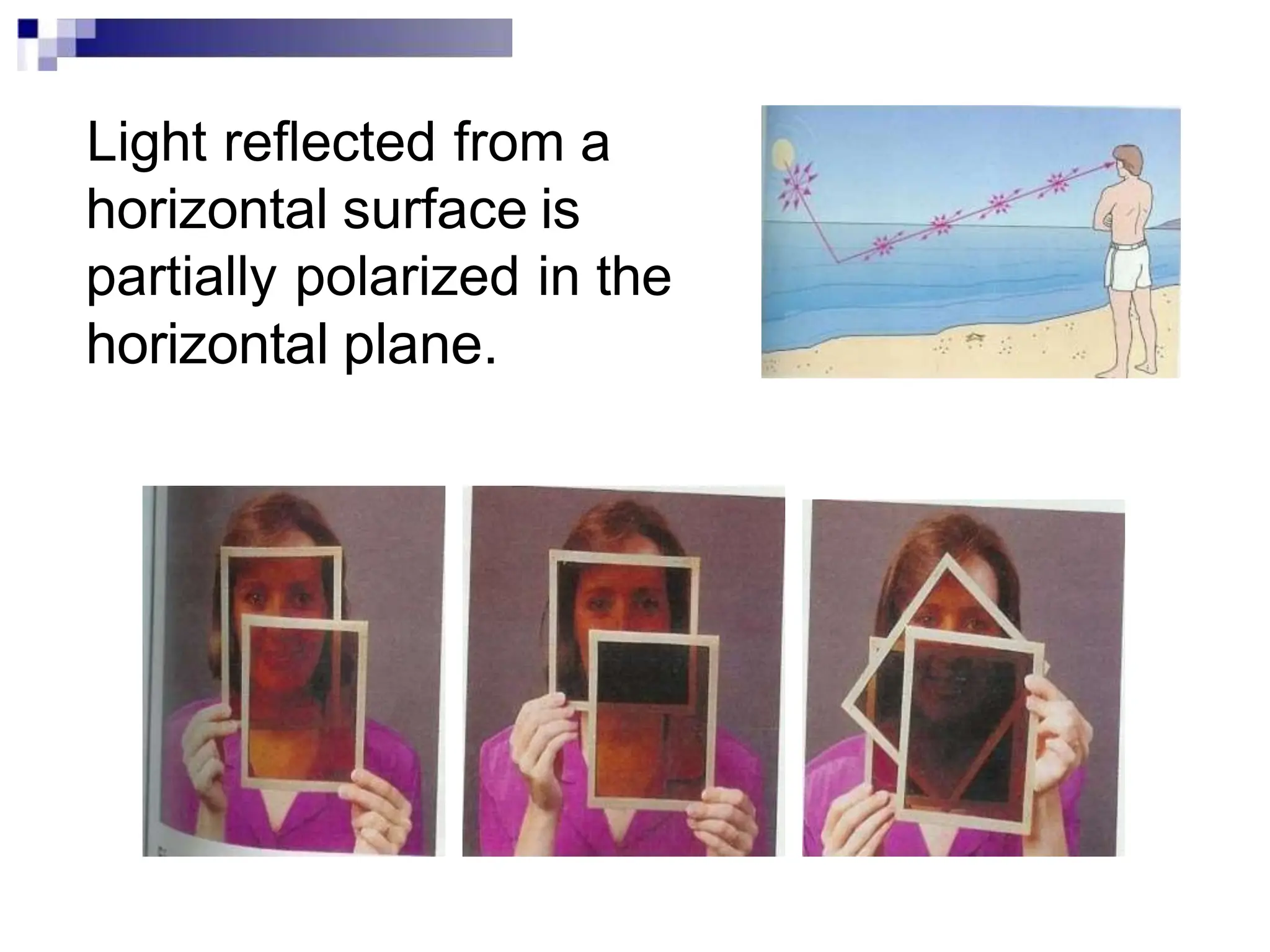 Light reflected from a
horizontal surface is
partially polarized in the
horizontal plane.
 