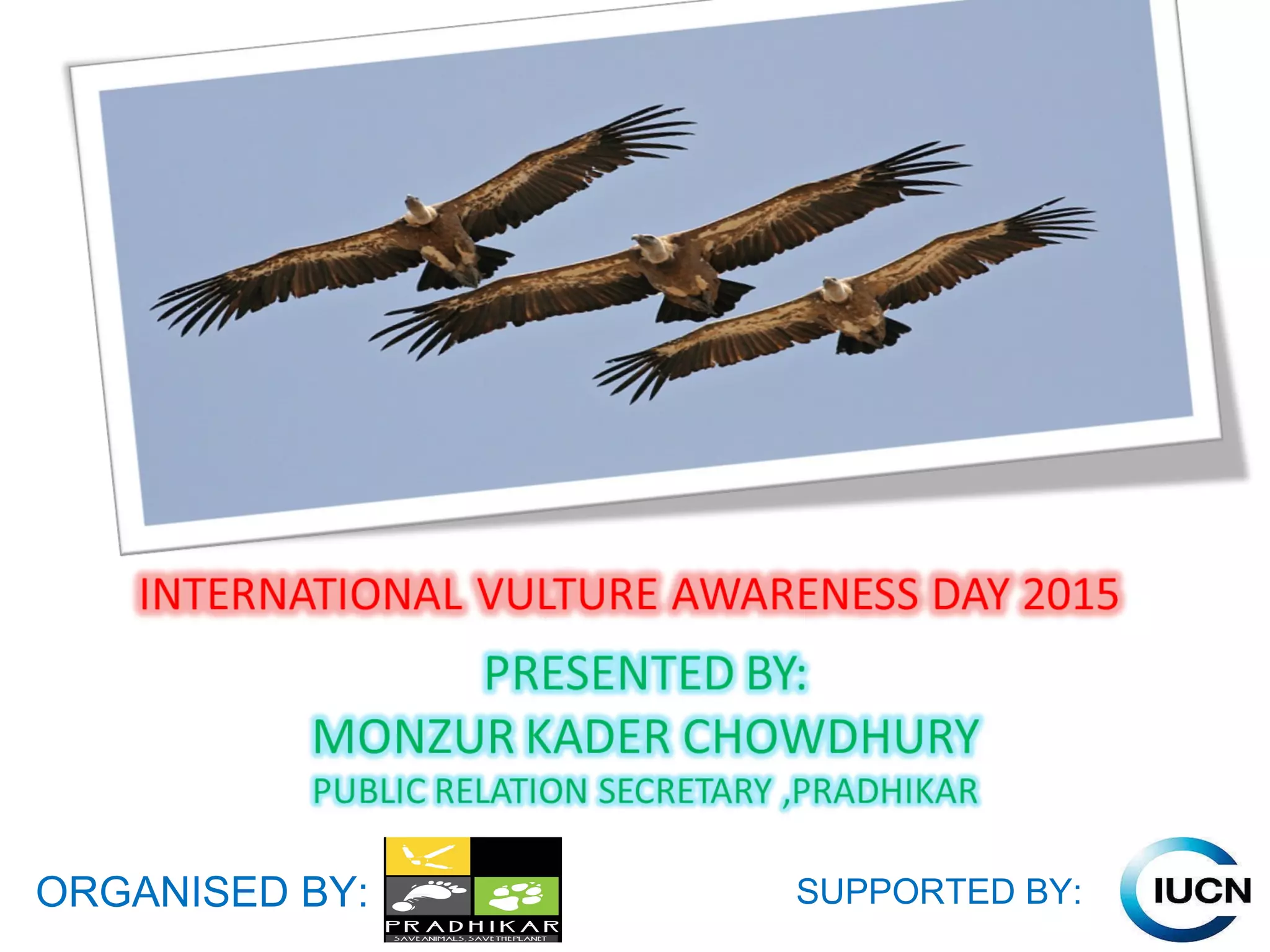 Vulture awareness day presentation | PPT