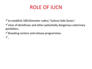 ROLE OF IUCN
to establish 100 kilometer radius ‘Vulture Safe Zones’.
clear of diclofenac and other potentially dangerous veterinary
painkillers.
Breeding centers and release programmes.
,
 