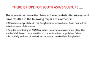 THERE IS HOPE FOR SOUTH ASIA’S VULTURE…..
These conservation action have achieved substantial success and
have resulted in the following major achievements:
All vulture range states in the Bangladeshn subcontinent have banned the
veterinary use of diclofenac.
Regular monitoring of NSAID residues in cattle carcasses shows that the
level of diclofenac contamination of the vulture food supply has fallen
substantially and use of meloxicam increased markedly in Bangladesh.
 