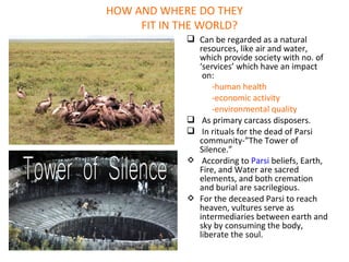 HOW AND WHERE DO THEY
FIT IN THE WORLD?
 Can be regarded as a natural
resources, like air and water,
which provide society with no. of
‘services’ which have an impact
on:
-human health
-economic activity
-environmental quality
 As primary carcass disposers.
 In rituals for the dead of Parsi
community-”The Tower of
Silence.”
 According to Parsi beliefs, Earth,
Fire, and Water are sacred
elements, and both cremation
and burial are sacrilegious.
 For the deceased Parsi to reach
heaven, vultures serve as
intermediaries between earth and
sky by consuming the body,
liberate the soul.
 