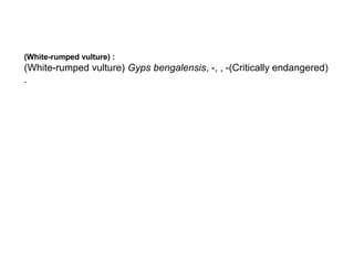 (White-rumped vulture) :
(White-rumped vulture) Gyps bengalensis, -, , -(Critically endangered)
.
 