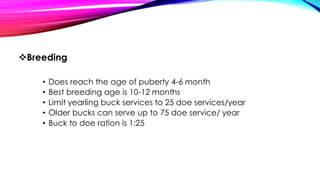 443979993-06-RAISE-ORGANIC-SMALL-RUMINANTS.pdf