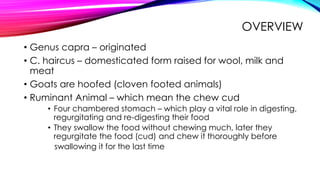 Small Ruminant Meat 443979993-06-RAISE-ORGANIC-SMALL-RUMINANTS.pdf