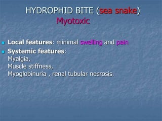 HYDROPHID BITE (sea snake)
Myotoxic
 Local features: minimal swelling and pain
 Systemic features:
Myalgia,
Muscle stiffness,
Myoglobinuria , renal tubular necrosis.
 