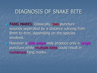 DIAGNOSIS OF SNAKE BITE
 FANG MARKS: classically, two puncture
wounds seperated by a distance varying from
8mm to 4cm, depending on the species
involved.
 However a side swipe may produce only a single
puncture,while multiple bites could result in
numerous fang marks.
 
