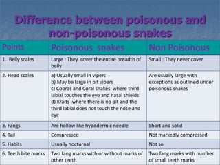 Difference between poisonous and
non-poisonous snakes
Points Poisonous snakes Non Poisonous
1. Belly scales Large : They cover the entire breadth of
belly
Small : They never cover
2. Head scales a) Usually small in vipers
b) May be large in pit vipers
c) Cobras and Coral snakes where third
labial touches the eye and nasal shields
d) Kraits ,where there is no pit and the
third labial does not touch the nose and
eye
Are usually large with
exceptions as outlined under
poisonous snakes
3. Fangs Are hollow like hypodermic needle Short and solid
4. Tail Compressed Not markedly compressed
5. Habits Usually nocturnal Not so
6. Teeth bite marks Two fang marks with or without marks of
other teeth
Two fang marks with number
of small teeth marks
 