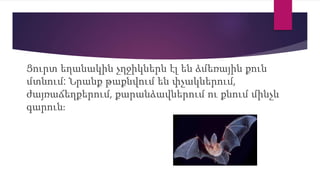 Ցուրտ եղանակին չղջիկներն էլ են ձմեռային քուն
մտնում: Նրանք թաքնվում են փչակներում,
ժայռաճեղքերում, քարանձավներում ու քնում մինչև
գարուն։
 