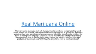Real Marijuana Online
There are some giveaways that will clue you in as to whether a company selling weed
online is legit. For example, beware of amateur-looking websites. A quality and legitimate
website should have a professional appearance and should be free of rookie mistakes like
typos or incongruent language. A licensed service should have a listed (and verifiable)
license number. Cost is another factor. Does it seem like it costs a lot more than legal
products, or even much less? Will they ship anywhere, even to non-legal states?
 