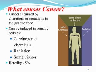 Molecular Basis of Cancer | PPTX