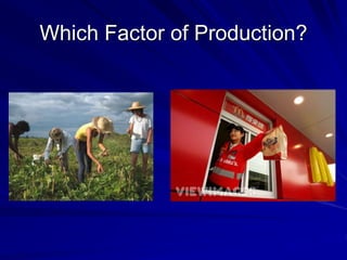 Which Factor of Production?
 