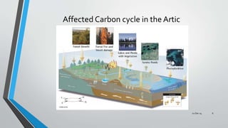 Affected Carbon cycle in the Artic
02 Dec 14 6
 