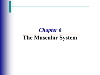 Chapter 6
The Muscular System
 