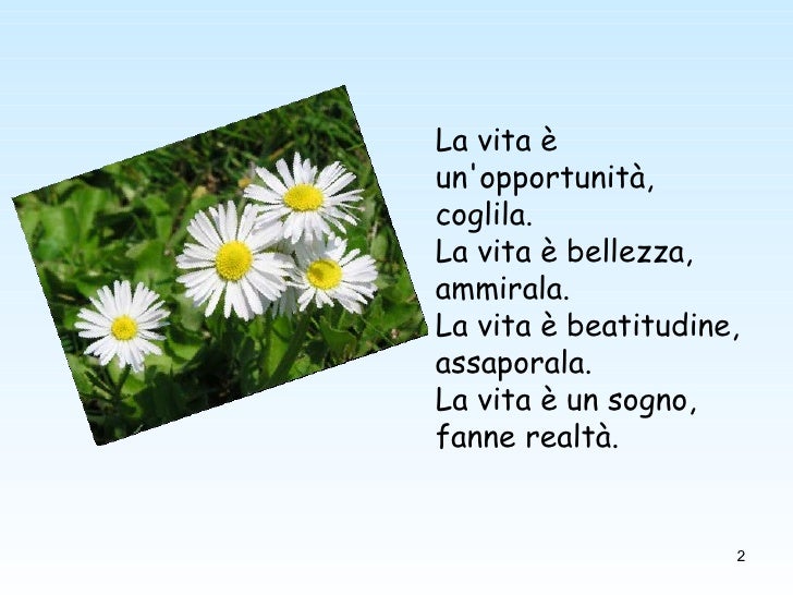 Poesia Inno Alla Vita