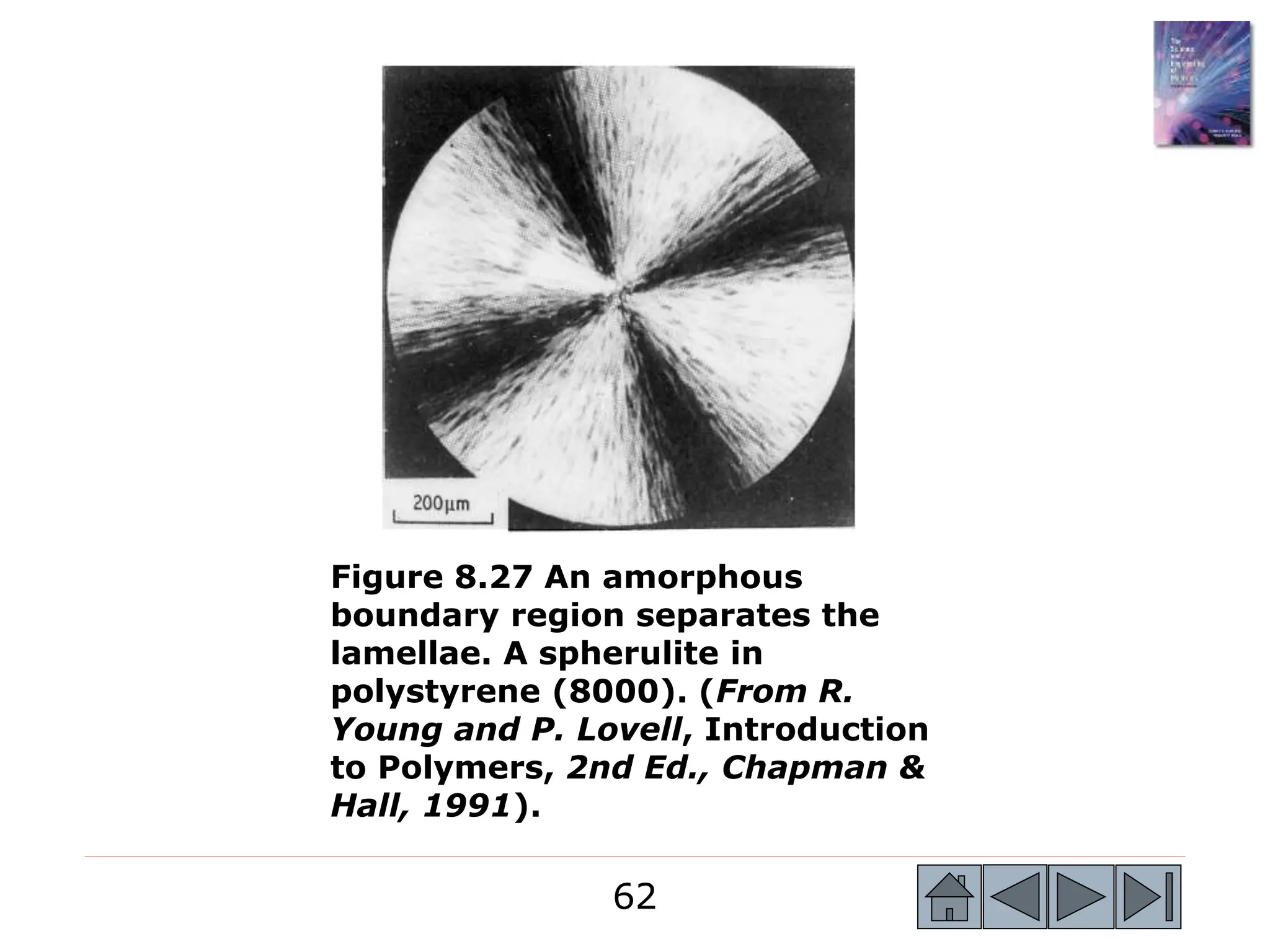 62
62
Figure 8.27 An amorphous
boundary region separates the
lamellae. A spherulite in
polystyrene (8000). (From R.
Young and P. Lovell, Introduction
to Polymers, 2nd Ed., Chapman &
Hall, 1991).
 