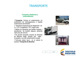 TRANSPORTE
 