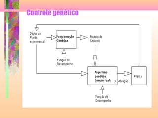 Controle genético
 