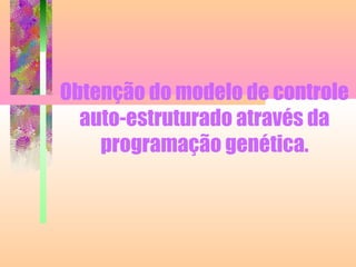 Obtenção do modelo de controle
auto-estruturado através da
programação genética.
 