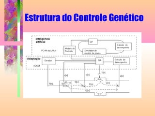 Estrutura do Controle Genético
 