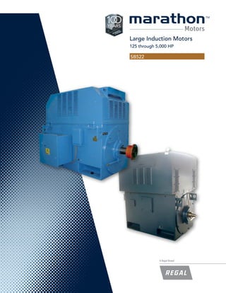 Large Induction Motors
125 through 5,000 HP
SB522
 