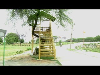 Bamboo Structure on Elevated Platform