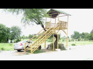 Bamboo Structure on Elevated Platform