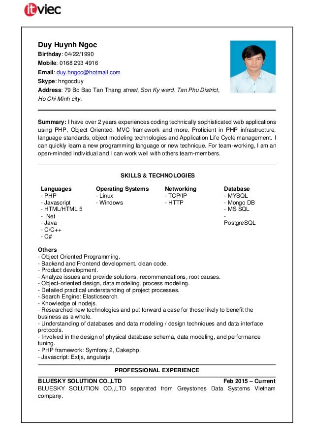 cv software developer cv for software developer