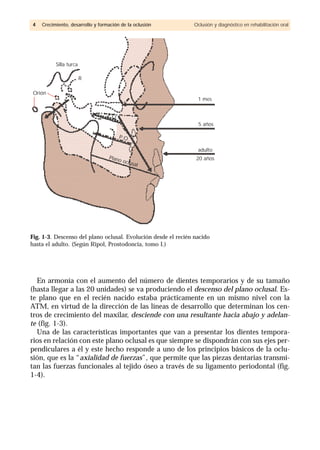 En armonía con el aumento del número de dientes temporarios y de su tamaño
(hasta llegar a las 20 unidades) se va produciendo el descenso del plano oclusal. Es-
te plano que en el recién nacido estaba prácticamente en un mismo nivel con la
ATM, en virtud de la dirección de las líneas de desarrollo que determinan los cen-
tros de crecimiento del maxilar, desciende con una resultante hacia abajo y adelan-
te (fig. 1-3).
Una de las características importantes que van a presentar los dientes tempora-
rios en relación con este plano oclusal es que siempre se dispondrán con sus ejes per-
pendiculares a él y este hecho responde a uno de los principios básicos de la oclu-
sión, que es la “axialidad de fuerzas”, que permite que las piezas dentarias transmi-
tan las fuerzas funcionales al tejido óseo a través de su ligamento periodontal (fig.
1-4).
44 Crecimiento, desarrollo y formación de la oclusión Oclusión y diagnóstico en rehabilitación oral
Silla turca
Orión
Plano oclusal
P.O.
P.O.
R
1 mes
5 años
adulto
20 años
Fig. 1-3. Descenso del plano oclusal. Evolución desde el recién nacido
hasta el adulto. (Según Ripol, Prostodoncia, tomo I.)
 