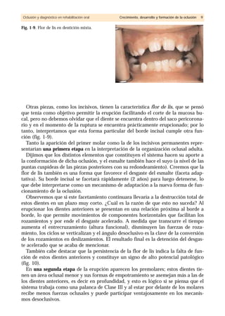 Otras piezas, como los incisivos, tienen la característica flor de lis, que se pensó
que tenía como objetivo permitir la erupción facilitando el corte de la mucosa bu-
cal, pero no debemos olvidar que el diente se encuentra dentro del saco pericorona-
rio y en el momento de la ruptura se encuentra prácticamente erupcionado; por lo
tanto, interpretamos que esta forma particular del borde incisal cumple otra fun-
ción (fig. 1-9).
Tanto la aparición del primer molar como la de los incisivos permanentes repre-
sentarían una primera etapa en la interpretación de la organización oclusal adulta.
Dijimos que los distintos elementos que constituyen el sistema hacen su aporte a
la conformación de dicha oclusión, y el esmalte también hace el suyo (a nivel de las
puntas cuspídeas de las piezas posteriores con su redondeamiento). Creemos que la
flor de lis también es una forma que favorece el desgaste del esmalte (faceta adap-
tativa). Su borde incisal se facetará rápidamente (2 años) para luego detenerse, lo
que debe interpretarse como un mecanismo de adaptación a la nueva forma de fun-
cionamiento de la oclusión.
Observemos que si este facetamiento continuara llevaría a la destrucción total de
estos dientes en un plazo muy corto. ¿Cuál es la razón de que esto no suceda? Al
erupcionar los dientes anteriores se presentan en una relación próxima al borde a
borde, lo que permite movimientos de componentes horizontales que facilitan los
rozamientos y por ende el desgaste acelerado. A medida que transcurre el tiempo
aumenta el entrecruzamiento (altura funcional), disminuyen las fuerzas de roza-
miento, los ciclos se verticalizan y el ángulo desoclusivo es la clave de la conversión
de los rozamientos en deslizamientos. El resultado final es la detención del desgas-
te acelerado que se acaba de mencionar.
También cabe destacar que la persistencia de la flor de lis indica la falta de fun-
ción de estos dientes anteriores y constituye un signo de alto potencial patológico
(fig. 10).
En una segunda etapa de la erupción aparecen los premolares; estos dientes tie-
nen un área oclusal menor y sus formas de empotramiento se asemejan más a las de
los dientes anteriores, es decir en profundidad, y esto es lógico si se piensa que el
sistema trabaja como una palanca de Clase III y al estar por delante de los molares
recibe menos fuerzas oclusales y puede participar ventajosamente en los mecanis-
mos desoclusivos.
Oclusión y diagnóstico en rehabilitación oral Crecimiento, desarrollo y formación de la oclusión 9
Fig. 1-9. Flor de lis en dentición mixta.
 