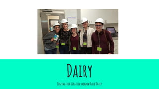 DairyObservationLocation:meadowGoldDairy
 