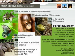 MEGA BIODIVERSITY: Terrestrial
16% of the world’s reptiles and amphibians
35 primate species, 25% endemic
17% of the world’s
birds,26% endemic
121 butterflies species,
44% endemic
12% of the world’s mammals,
36% endemic
Forest Diversity
About 59% of terrestrial
areas in Indonesia are
tropical forest or 10% from
the total forest area in the
world (Stone, 1994).
There are about 110 million Ha of the total
Indonesia’s forest classified as preserved
forest which 18.7 million Ha are
conservation area, including:
51 National Park
Nature Recreation Park
Nature Reserve
Protected Forest
Moreover, the percentage of
endemic flora in Papua
reaches 60-70%
4
 