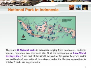 National Park in Indonesia
There are 50 National parks in Indonesia ranging from rain forests, endemic
species, mountain, sea, rivers and etc. Of all the national parks, 6 are World
Heritage Sites, 6 are part of the World Network of Biosphere Reserves and 3
are wetlands of international importance under the Ramsar convention. A
total of 9 parks are largely marine
5
 