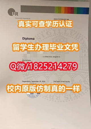 《雷根斯堡大学毕业证|学位证书校内仿真版本》