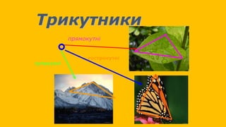 Трикутники
прямокутні
гострокутні
тупокутні
 