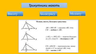 Трикутники мають
Висоту Бісектрису Медіану
 