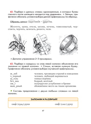 47
62. Подбери к данным словам однокоренные, в которых буквы
гласного после шипящего находится под ударением. Запиши, гра-
фически обозначь условия выбора данной орфограммы по образцу.
Образец записи: шерстяно
,
й – шёрстка.
Желтеть, щека, пчела, шелка, печень, тяжеловатый, чер-
стветь, чертить, зачесать, решето, чело.
Дополни упражнение 2–3 примерами.
63. Подбери к каждому из слов левой колонки объяснение его
значения из правой колонки. Спиши, вставляя нужную букву.
Графически обозначь условия выбора изучаемой орфограммы.
ж_лоб человек, чрезмерно строгий в поведении
ч_порный человек, любящий наряжаться
щ_голь тонкая верёвка
беч_вка бодрый, весёлый
ож_г полукруглое углубление в бревне
маж_рный обожжённое место на ткани организма
Составь предложения с двумя любыми словами из левой
колонки.
ожо
,
г (сущ.) руки ожё
,
г (глаг.) руку
ЗАПОМНИ И РАЗЛИЧАЙ!
 