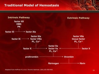 11
Traditional Model of Hemostasis
Intrinsic Pathway Extrinsic Pathway
factor XII
HMK
PK
factor XI factor XIa
factor IX
factor IXa
factor VIIIa
PL, Ca+2
factor X
factor Xa
factor Va
PL, Ca+2
prothrombin thrombin
fibrinogen fibrin
factor VIIa
tissue factor
PL, Ca+2
factor X
Adapted from Hoffman M, et al. Thromb Haemost. 2001;85:958-965.
 