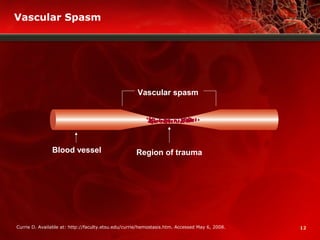 12
Vascular Spasm
Currie D. Available at: http://faculty.etsu.edu/currie/hemostasis.htm. Accessed May 6, 2008.
Blood vessel
Vascular spasm
Region of trauma
 
