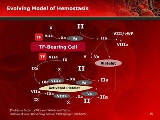 16Hoffman M, et al. Blood Coag Fibrinol. 1998;9(suppl 1):S61-S65.
TF-Bearing Cell
Activated Platelet
Platelet
TF
VIIIa
Va
VIIIa
Va
Va
VIIa
TF VIIa
Xa
X II
IIa
IX
V Va
II
VIII/vWF
VIIIa
II
IXa
X
IX
X
IXa
IXa
VIIa
Xa
IIa
IIa
Xa
Evolving Model of Hemostasis
TF=tissue factor; vWF=von Willebrand factor.
 
