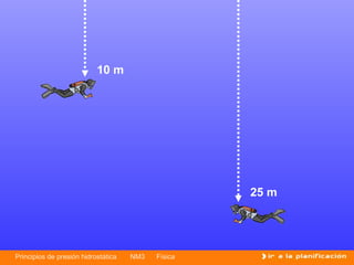 10 m




                                                    25 m




Principios de presión hidrostática   NM3   Física
 