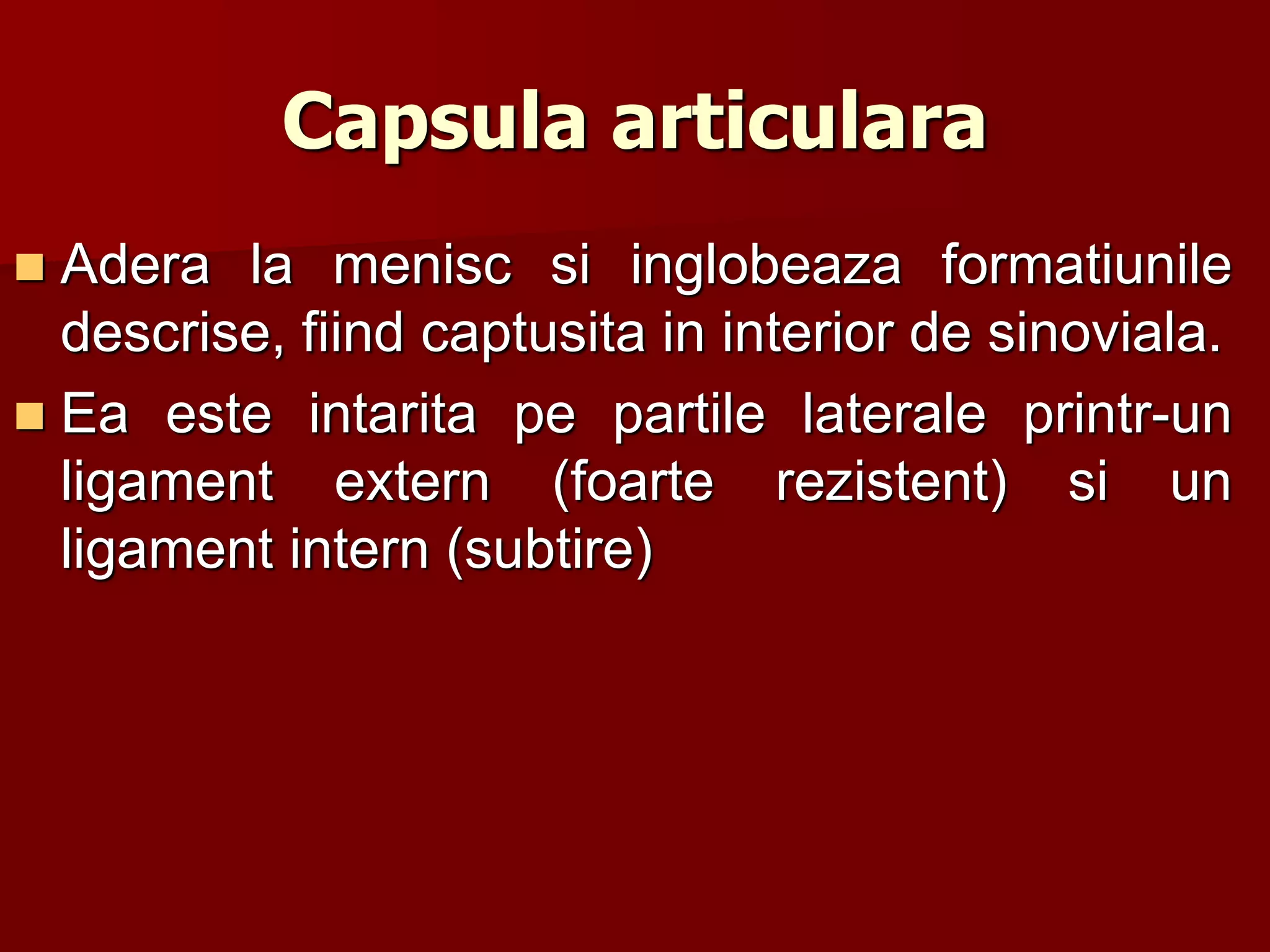Capsula articulara
 Adera la menisc si inglobeaza formatiunile
descrise, fiind captusita in interior de sinoviala.
 Ea este intarita pe partile laterale printr-un
ligament extern (foarte rezistent) si un
ligament intern (subtire)
 