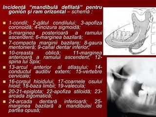 ATM-PPT-ppt.ppt