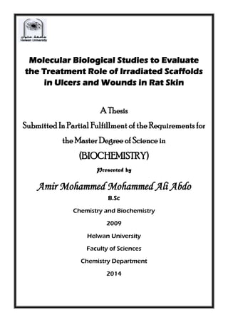 Molecular Biological Studies to Evaluate
the Treatment Role of Irradiated Scaffolds
in Ulcers and Wounds in Rat Skin
A Thesis
Submitted In Partial Fulfillment of the Requirements for
the Master Degree of Science in
(BIOCHEMISTRY)
Presented by
Amir Mohammed Mohammed Ali Abdo
B.Sc
Chemistry and Biochemistry
2009
Helwan University
Faculty of Sciences
Chemistry Department
2014
 