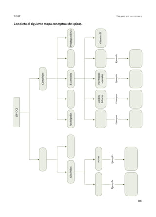 105
Repaso de la unidad
DGEP
Completa el siguiente mapa conceptual de lípidos.
lípidos
Complejos
Glicéridos
Grasas
Ejemplo
Ejemplo
Ejemplo
Ejemplo
Ejemplo
Ejemplo
Fosfolípidos
Ácidos
biliares
Vitamina
D
Esteroides
Hormonas
sexuales
Prostaglandinas
 