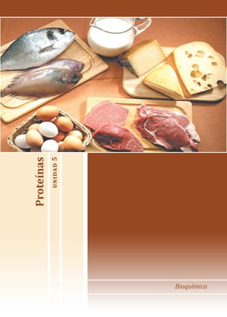 Bioquímica
Proteínas
unidad
5
 
