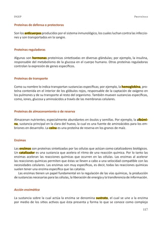 117
Proteínas
DGEP
Proteínas de defensa o protectoras
Son los anticuerpos producidos por el sistema inmunológico, los cuales luchan contra las infeccio-
nes y son transportados en la sangre.
Proteínas reguladoras
Algunas son hormonas proteínicas sintetizadas en diversas glándulas; por ejemplo, la insulina,
responsable del metabolismo de la glucosa en el cuerpo humano. Otras proteínas reguladoras
controlan la expresión de genes específicos.
Proteínas de transporte
Como su nombre lo indica transportan sustancias específicas; por ejemplo, la hemoglobina, pro-
teína contenida en el interior de los glóbulos rojos, responsable de la captación de oxígeno en
los pulmones y de su transporte al resto del organismo. También mueven sustancias específicas,
como, iones, glucosa y aminoácidos a través de las membranas celulares.
Proteínas de almacenamiento o de reserva
Almacenan nutrientes; especialmente abundantes en óvulos y semillas. Por ejemplo, la albúmi-
na, sustancia principal en la clara del huevo, la cual es una fuente de aminoácidos para los em-
briones en desarrollo. La ceína es una proteína de reserva en los granos de maíz.
Enzimas
Las enzimas son proteínas sintetizadas por las células que actúan como catalizadores biológicos.
Un catalizador es una sustancia que acelera el ritmo de una reacción química. Por lo tanto las
enzimas aceleran las reacciones químicas que ocurren en las células. Las enzimas al acelerar
las reacciones químicas permiten que éstas se lleven a cabo a una velocidad compatible con las
necesidades celulares. Las enzimas son muy específicas, es decir, todas las reacciones químicas
suelen tener una enzima específica que las cataliza.
Las enzimas tienen un papel fundamental en la regulación de las vías químicas, la producción
de sustancias necesarias para las células, la liberación de energía y la transferencia de información.
Acción enzimática
La sustancia sobre la cual actúa la enzima se denomina sustrato, el cual se une a la enzima
por medio de los sitios activos que ésta presenta y forma lo que se conoce como complejo
 