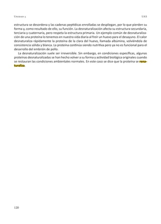120
Unidad 5 UAS
estructura se desordena y las cadenas peptídicas enrolladas se despliegan, por lo que pierden su
forma y, como resultado de ello, su función. La desnaturalización afecta su estructura secundaria,
terciaria y cuaternaria, pero respeta la estructura primaria. Un ejemplo común de desnaturaliza-
ción de una proteína lo tenemos en nuestra vida diaria al freír un huevo para el desayuno. El calor
desnaturaliza rápidamente la proteína de la clara del huevo, llamada albúmina, volviéndola de
consistencia sólida y blanca. La proteína continúa siendo nutritiva pero ya no es funcional para el
desarrollo del embrión de pollo.
La desnaturalización suele ser irreversible. Sin embargo, en condiciones específicas, algunas
proteínas desnaturalizadas se han hecho volver a su forma y actividad biológica originales cuando
se restauran las condiciones ambientales normales. En este caso se dice que la proteína se rena-
turaliza.
 