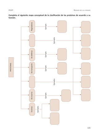 125
Repaso de la unidad
DGEP
Completa el siguiente mapa conceptual de la clasificación de las proteínas de acuerdo a su
función.
Ejemplos
Ejemplos
Ejemplos
Ejemplo
Ejemplo
Ejemplo
Ejemplo
Proteínas
Enzimas
De
reserva
De
transporte
De
defensa
Reguladoras
 