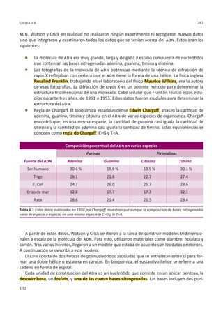 132
Unidad 6 UAS
adn. Watson y Crick en realidad no realizaron ningún experimento ni recogieron nuevos datos
sino que integraron y examinaron todos los datos que se tenían acerca del adn. Estos eran los
siguientes:
l La molécula de adn era muy grande, larga y delgada y estaba compuesta de nucleótidos
que contenían las bases nitrogenadas adenina, guanina, timina y citosina.
l Las fotografías de la molécula de adn obtenidas mediante la técnica de difracción de
rayos X reflejaban con certeza que el adn tiene la forma de una hélice. La física inglesa
Rosalind Franklin, trabajando en el laboratorio del físico Maurice Wilkins, era la autora
de esas fotografías. La difracción de rayos X es un potente método para determinar la
estructura tridimensional de una molécula. Cabe señalar que Franklin realizó estos estu-
dios durante tres años, de 1951 a 1953. Estos datos fueron cruciales para determinar la
estructura del adn.
l Regla de Chargaff. El bioquímico estadounidense Edwin Chargaff, analizó la cantidad de
adenina, guanina, timina y citosina en el adn de varias especies de organismos. Chargaff
encontró que, en una misma especie, la cantidad de guanina casi iguala la cantidad de
citosina y la cantidad de adenina casi iguala la cantidad de timina. Estas equivalencias se
conocen como regla de Chargaff: C=G y T=A.
Composición porcentual del adn en varias especies
Purinas Pirimidinas
Fuente del ADN Adenina Guanina Citosina Timina
Ser humano 30.4 % 19.6 % 19.9 % 30.1 %
Trigo 28.1 21.8 22.7 27.4
E. Coli 24.7 26.0 25.7 23.6
Erizo de mar 32.8 17.7 17.3 32.1
Rata 28.6 21.4 21.5 28.4
A partir de estos datos, Watson y Crick se dieron a la tarea de construir modelos tridimensio-
nales a escala de la molécula del adn. Para esto, utilizaron materiales como alambre, hojalata y
cartón. Tras varios intentos, llegaron a un modelo que estaba de acuerdo con los datos existentes.
A continuación se describirá este modelo.
El adn consta de dos hebras de polinucleótidos asociadas que se entrelazan entre sí para for-
mar una doble hélice o escalera en caracol. En bioquímica, el sustantivo hélice se refiere a una
cadena en forma de espiral.
Cada unidad de construcción del adn es un nucleótido que consiste en un azúcar pentosa, la
desoxirribosa, un fosfato, y una de las cuatro bases nitrogenadas. Las bases incluyen dos puri-
Tabla 6.1 Estos datos publicados en 1950 por Chargaff, muestran que aunque la composición de bases nitrogenadas
varía de especie a especie, en una misma especie la C=G y la T=A.
 