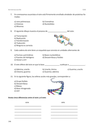 146
Autoevaluación UAS
7. En cromosomas eucariotas el adn está firmemente enrollado alrededor de proteínas lla-
madas:
a) adn polimerasas b) Cromatinas
c) Histonas d) Nucleótidos
e) Miosinas
8. El siguiente dibujo muestra el proceso de ___________________ del adn:
a) Transcripción
b) Replicación
c) Transformación
d) Traducción
e) Ninguna es correcta
9. Cada cadena de adn tiene un esqueleto que consiste en unidades alternantes de
a) Purinas y pirimidinas b) Bases nucleotídicas
c) Puentes de hidrógeno d) Desoxirribosa y fosfato
e) Azúcar y atp
10. El arn difiere del adn en que la base _______________ sustituye a ________________.
a) Adenina; uracilo b) Uracilo; timina c) Guanina; uracilo
d) Citosina; guanina e) Guanina; adenina
11. En la siguiente figura, las esferas azules más grandes, corresponden a:
a) Grupo fosfato
b) Desoxirribosa
c) Ribosa
d) Base nitrogenada
e) adp
Anota cinco diferencias entre el adn y el arn:
adn arn
___________________________ ___________________________
___________________________ ___________________________
___________________________ ___________________________
___________________________ ___________________________
___________________________ ___________________________
 